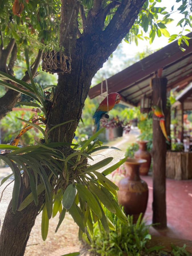 นพรัตน์การ์เด้นฮิลล์ Hotel Uthai Thani Exterior photo